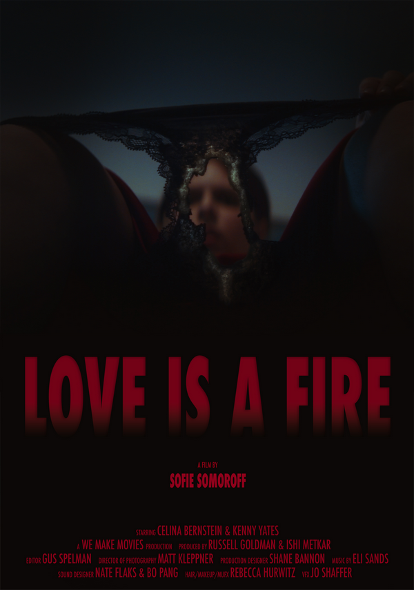Poster Love is a Fire