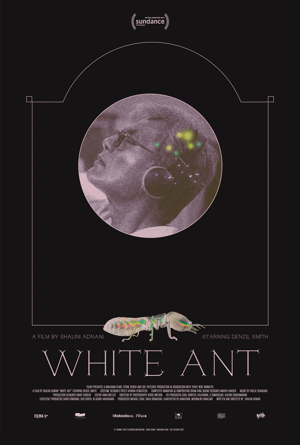 Poster White Ant