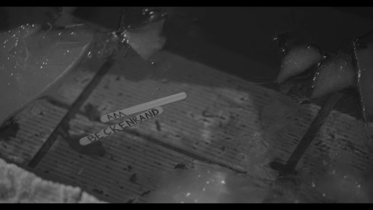 Poster Am Beckenrand