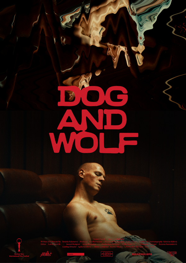 Poster Dog and Wolf