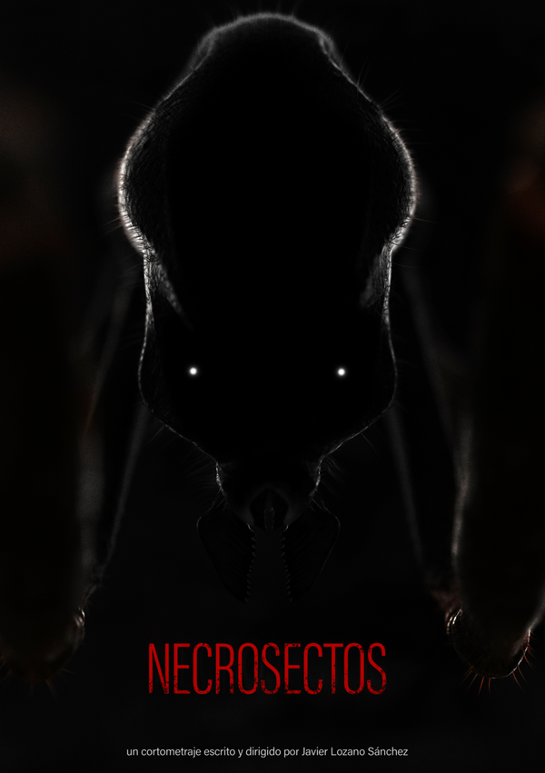 Poster Necrosectos