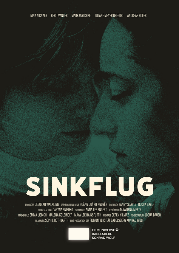 Poster Sinkflug
