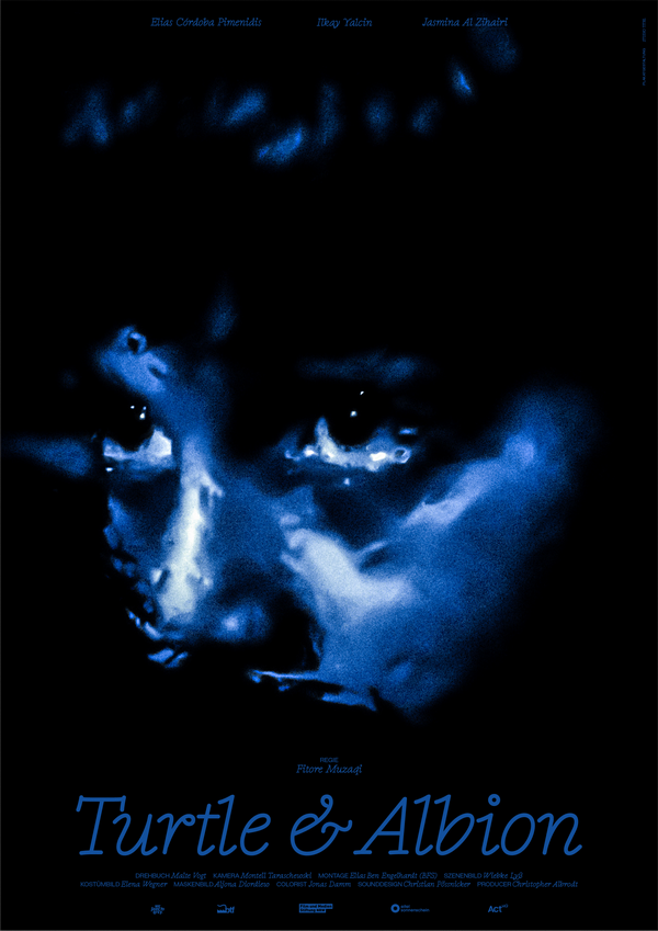 Poster Turtle & Albion